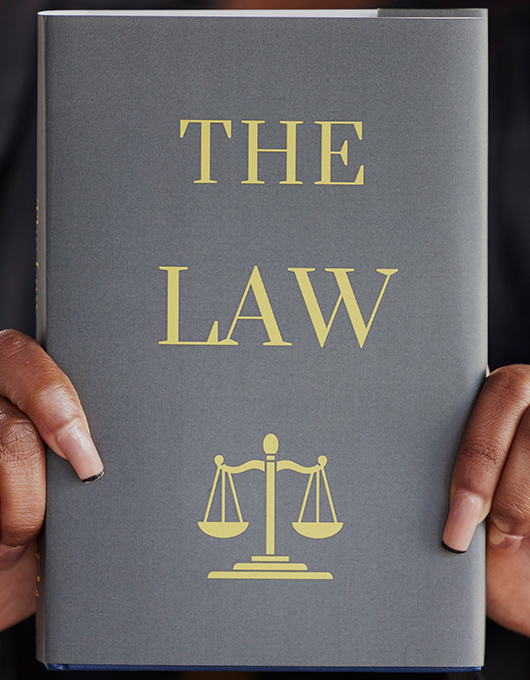 hands-woman-or-judge-with-book-constitution-resear-TJBE6ZA